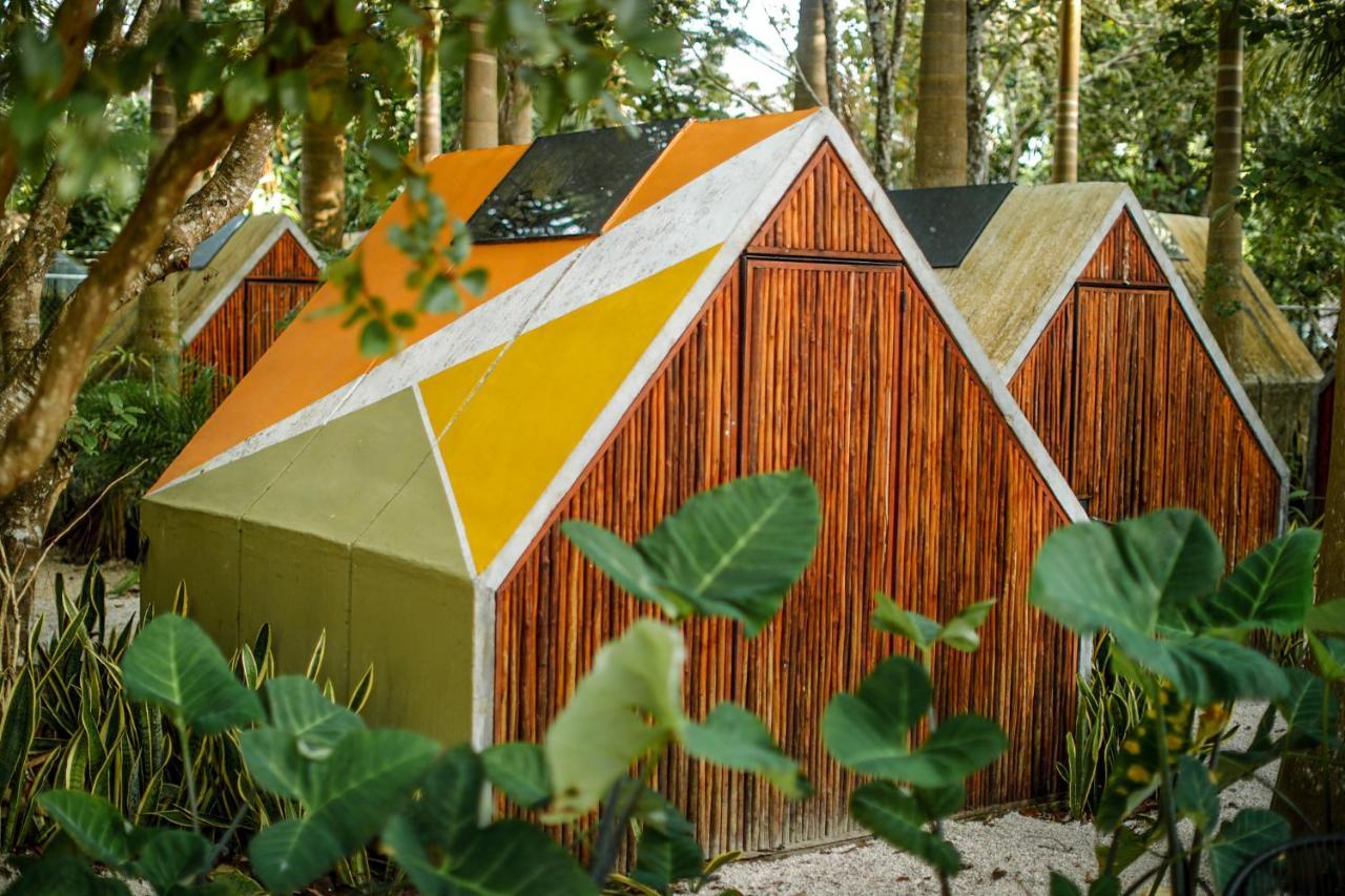 Hotel Bufo Alvarius Sanctuary Bacalar