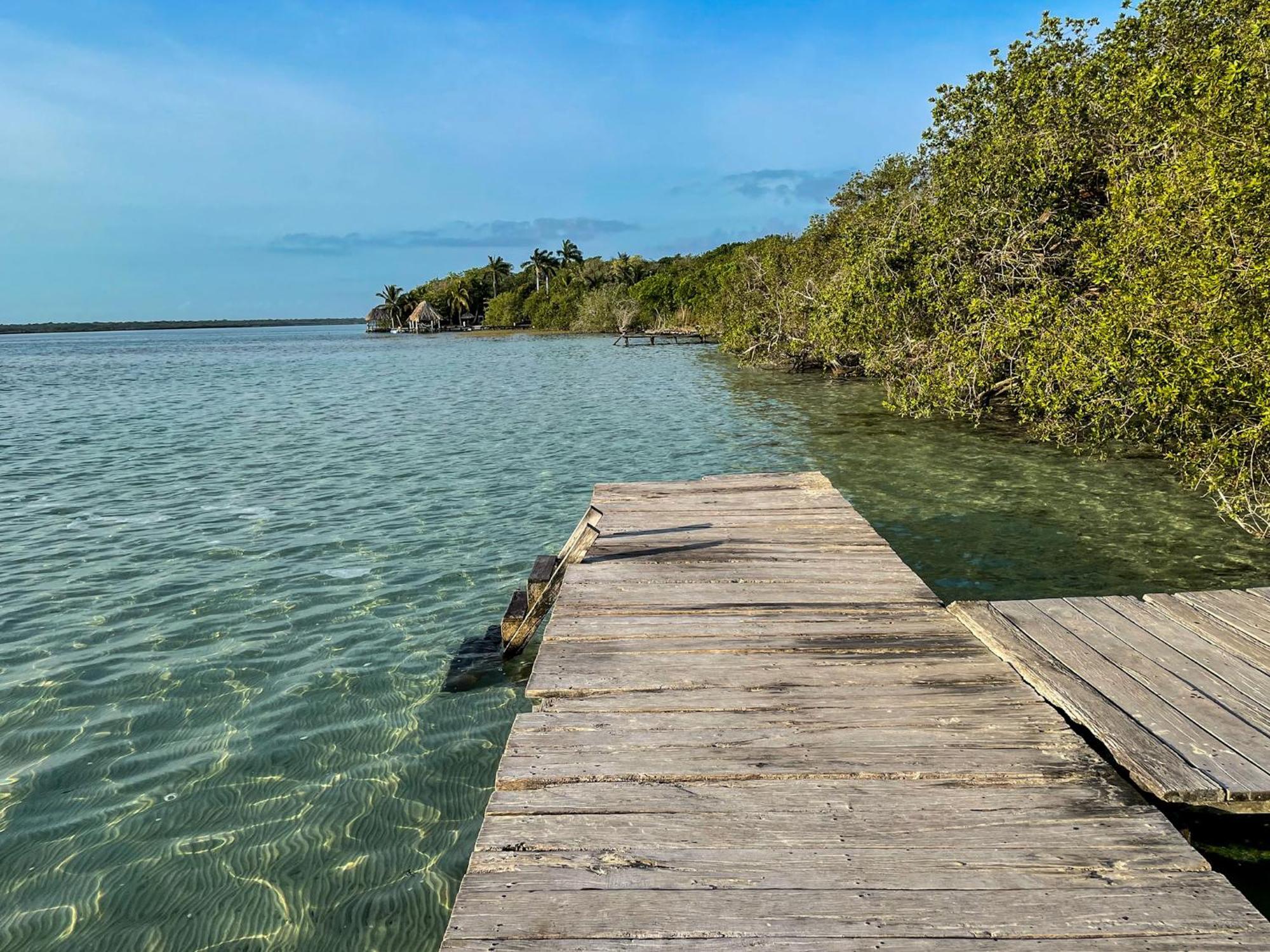Hotel Bufo Alvarius Sanctuary Bacalar Buenavista (Quintana Roo)